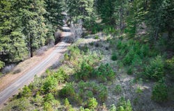 S Patit Creek Wooded Lot, Dayton, WA 99328