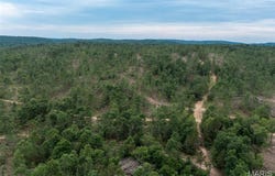 Tract 2 Hidden Valley, Annapolis, MO 63645