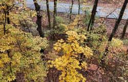 000 Lower River Road NW, Georgetown, TN 37336