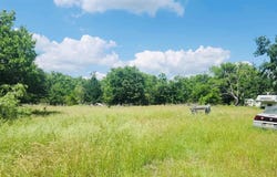 12124 Fm 2159, Calvert, TX 77837