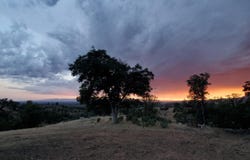 12723 Gas Point Road, Igo, CA 96047