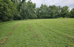 Lot 1 E Prairie Lane, Ash Grove, MO 65604