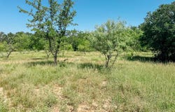 Lot 4 Morris Sheppard Drive, Brownwood, TX 76801