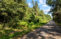 326 Magee Hill Road, Tylertown, MS 39667