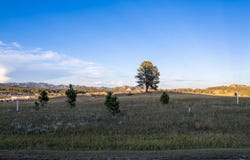25 Sidney Park Rd, Custer, SD 57730