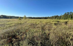 Polk Road 178, Mena, AR 71953