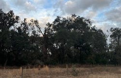 SW MCGRIFF LN & KAMAN, Lake City, FL 32024