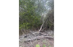 223 Mokulua Ln, Bastrop, TX 78602