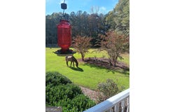 531 Grant, Brooks, GA 30205