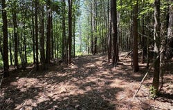 0 Highway 140 Tract D NW, Adairsville, GA 30103