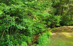565 Cross Creek Ln, MURPHY, NC 28906