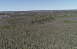 252 Acres Helen Lake Road, Republic, MI 49879