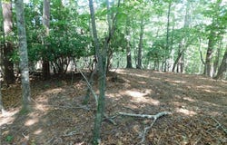 Lot 2 Sweet Apple Lane, Dahlonega, GA 30533