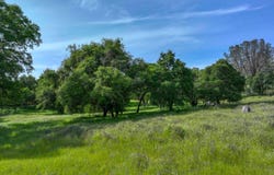 1301 Lomita Court, El Dorado Hills, CA 95762