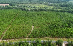 687 White Pond Road, Williston, SC 29853