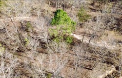 138 Riptide Road, North, SC 29112