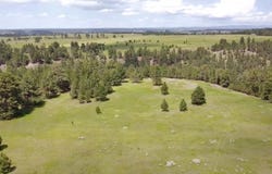 TBD Colt Trail, Sundance, WY 82729