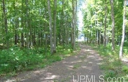 E Shore Road, Marenisco, MI 49947