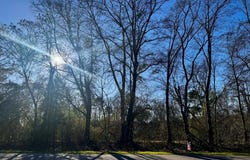 Needmore, TROY, AL 36081