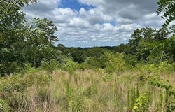 Lt 95 Timberline, Ellijay, GA 30540