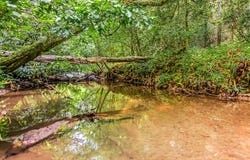 416 Millstone Mountain, Blue Ridge, GA 30513