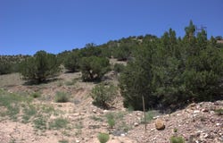 Tres Amigos Road, Placitas, NM 87043