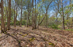 Landing Drive, Brewster, MA 02631