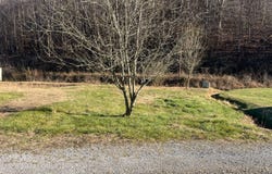 1988 Smiths Grove Rd., Burkesville, KY 42717