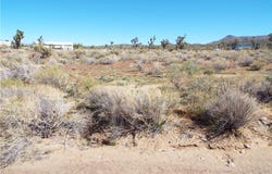 327-06-506 N PEACH Drive, Dolan Springs, AZ 86441