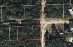 HURON LOT 4 Street, Interlachen, FL 32148