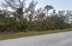 6261 BLACKBERRY STREET, ENGLEWOOD, FL 34224