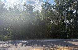 HWY 5 lot: 15 & 2A, Norfork, AR 72658