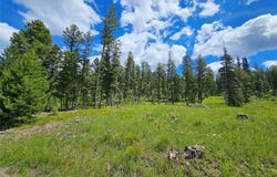 NHN Hoover Creek OSI-73 Road, Helmville, MT 59843