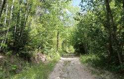 17616 E Tallman Rd, Chattaroy, WA 99003