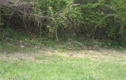 100 S 98th Street, Belleville, IL 62223
