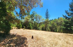 675 PANORAMA LN, Roseburg, OR 97471