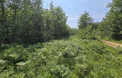 Iroquois Trail, Gaylord, MI 49735