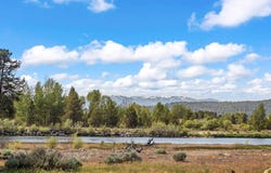 L5 B1 Lazy River Street, Cascade, ID 83611