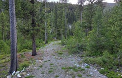 Lot 13 Kokopelli Drive, Gibbonsville, ID 83463