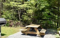 1715 Bear View Rd, Sevierville, TN 37876