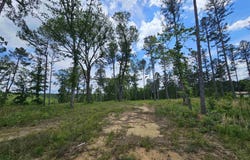 0 Newton Rd, Clinton, AR 72031