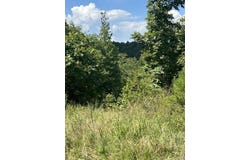 776 JOHN ASHLEY, Amity, AR 71921