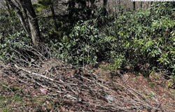 117 Wild Daisy Lane, Beech Mountain, NC 28604