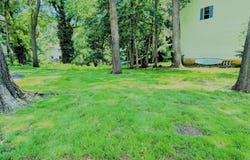 1167 GREEN HOLLY DRIVE, ANNAPOLIS, MD 21409
