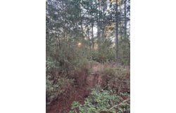 103 Lake Point Way, Bastrop, TX 78602
