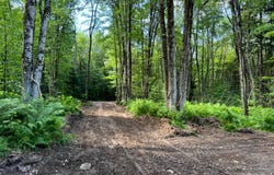 1131 Gregory Rd, Osceola, NY 13316