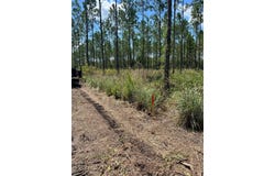 Combined Lots 3 & 4 SE FAMILY Road, LAKE CITY, FL 32025