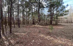 Tract 3 Venus Rd, White Oak, TX 75693