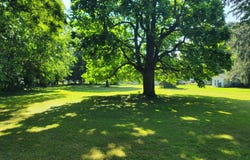 2925 Maple Avenue, Kalamazoo, MI 49048
