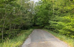 2694 Winchester Hwy, Fayetteville, TN 37335